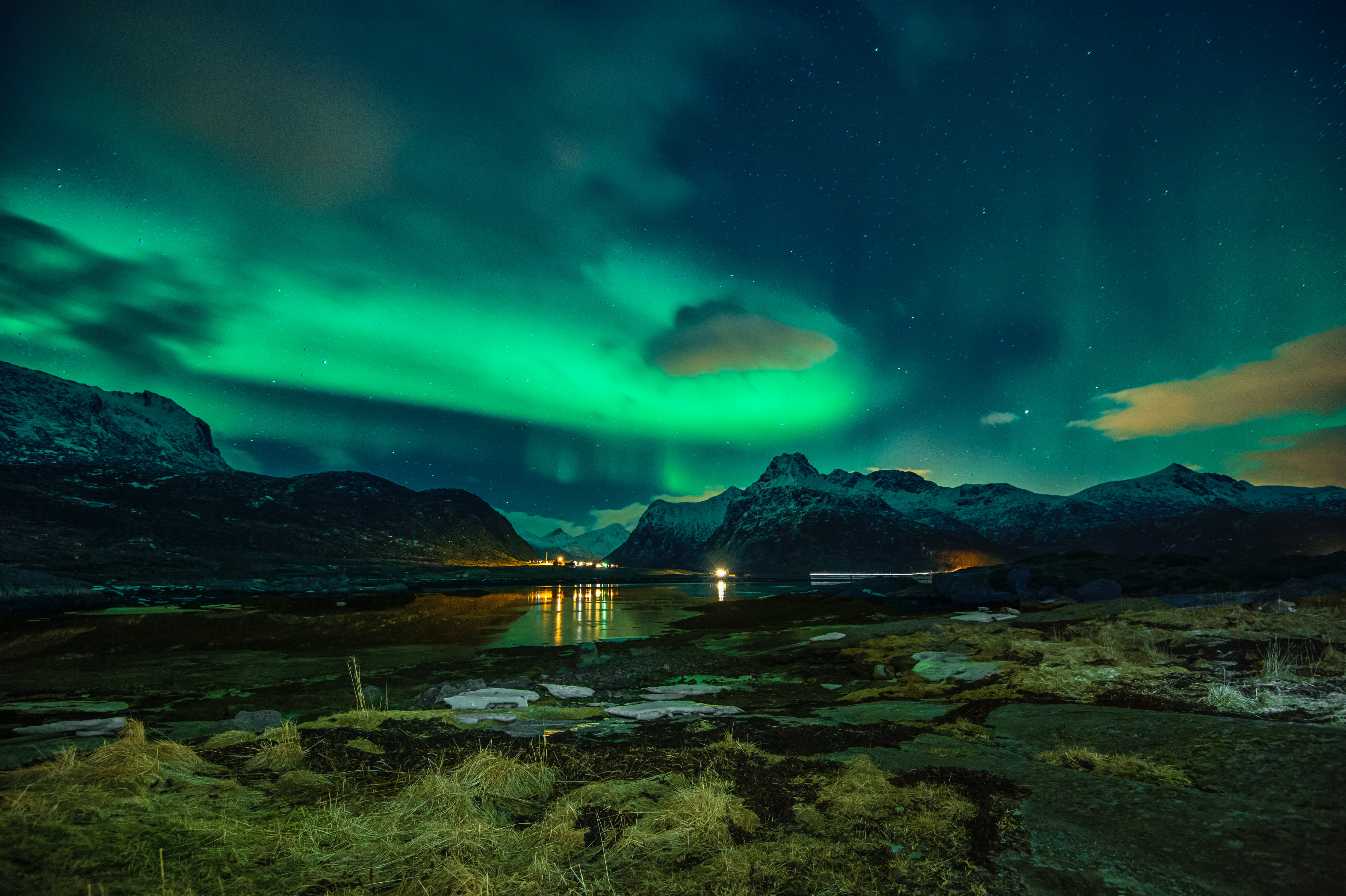 lofoten northern lights